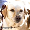 Avatares de Vincent de Lost