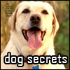 Secreto de Vincent de Lost
