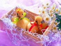 Patos