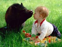animales amigos de los chicos