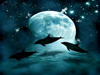 Delfines