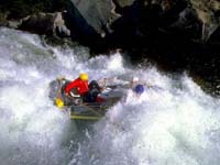 kayak