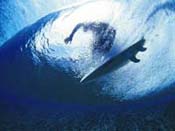 Surf