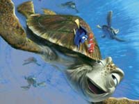 Tortuga