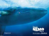 Buscando a Nemo